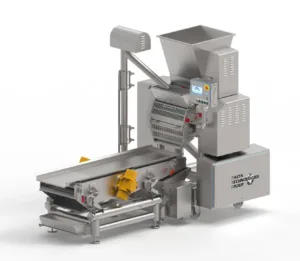 Gnocchi Forming machine